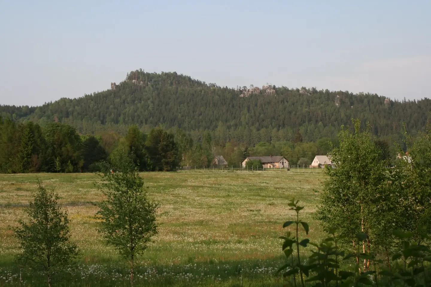 Green meadow with blooming plants and young trees, with a wooded hill with rock formations and rural houses on the edge of the forest in the background.